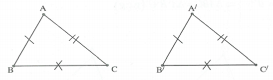 Hai tam giác bằng nhau hình học lớp 7 (ảnh 2)