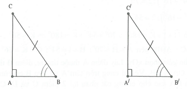 Hai tam giác bằng nhau hình học lớp 7 (ảnh 6)