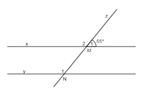 Trắc nghiệm Tiên đề Ơ-clit về đường thẳng song song - Bài tập Toán lớp 7 chọn lọc có đáp án, lời giải chi tiết